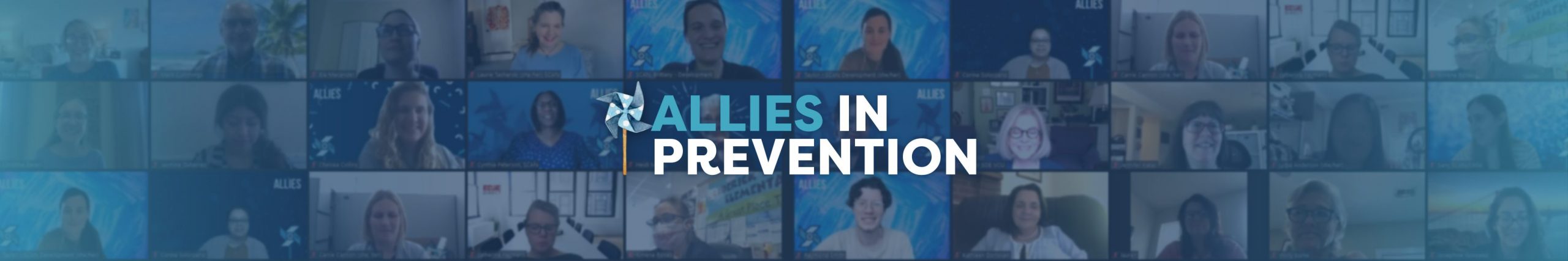 Allies In Prevention 