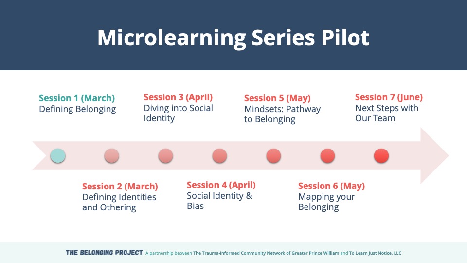 timeline of the microlearning series pilot